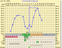 Can Someone Explain What This Dip In My Bbt Chart Means