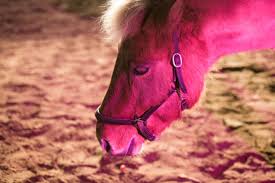 Welche bilder, gerüche oder gefühle verbindest du mit dem begriff heimat? Heimat Wo Wir Uns Zuhause Und Geborgen Fuhlen Stern De