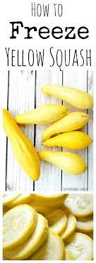 How To Freeze Yellow Squash Southern Made Simple Yellow Squash Recipes Freezing Yellow Squash Squash Recipes