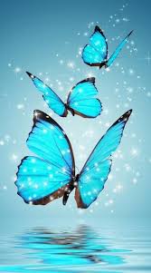 Beautiful pictures of flowers and butterflies birds new butterfly and flower wallpapers wallpaper cave. Beautiful Butterfly Wallpaper For Android Apk Download