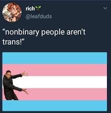 Literally What The White Stripe Stands For Blue For Tans Men Pink For Trans Women And White For Nonbinary Folks Trans Flag Lgbtqa Trans Man