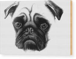 Carved dogs portrait,pet portrait, dog cat lover gift, wood portrait, dog art, custompet carving, realistic dog artwork, pet made to order. Realistic Pencil Drawing Of A Pug Dog Wood Print By Debbie Engel