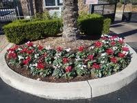 Near you 20+ mulching services near you. The 10 Best Lawn Care Services In Fountain Valley Ca From 33