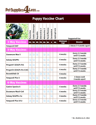 Puppy Shot Chart Goldenacresdogs Com