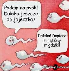 Znalezione obrazy dla zapytania zakazany humor obrazki