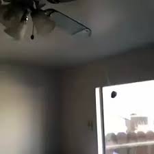 A potato flew around my room. A Potato Flew Around My Room Before You Came Too Fast Vine Video Dailymotion