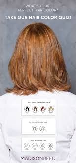 Fabulous Salon Quality Hair Color Perfect Hair Color Cool Hair Color Hair Color