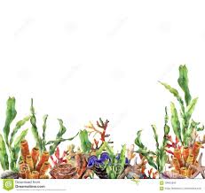 Watercolor Coral Reef Border Hand Painted Underwater Illustration With Laminaria Branch Starfish Tridact Watercolor Coral Reef Coral Watercolor Coral Reef