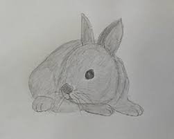 Bunny cartoon drawing face head rabbit tutorial. How To Draw A Realistic Rabbit Head Archives How To Draw Step By Step