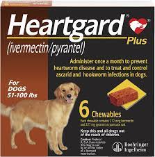 We did not find results for: Heartgard Plus Soft Chew For Dogs 51 100 Lbs Brown Box 6 Soft Chews 6 Mos Supply Chewy Com