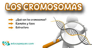 Juego dela oca para preescolar interactivo} / pin de yuri badilla en trabajo con ninos juegos didacticos de matematicas juegos de aprendizaje juegos de matematicas : Recursos Para El Aula Recursos Educativos Gratis Educapeques