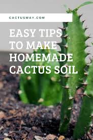 No ,its hair growing very thickly. Easy Tips To Make Homemade Cactus Soil Soil House Plant Care Cactus