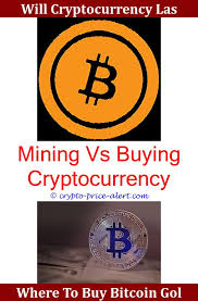 What do you think the best bitcoin wallet for newbies is? Where To Buy Computers With Bitcoin Asch Cryptocurrency Pt Mahalaya Agri Corp