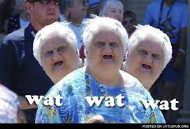 Wat Old Lady Who Says