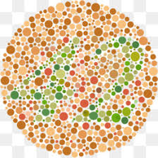 Color Vision Png Color Vision Deficiency Color Vision