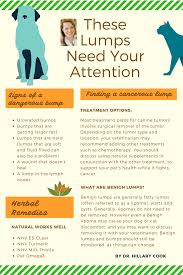 This may feel like a small lump or bump or a swollen place on your cat's skin. Vet Talk Lumps And Bumps On Dogs And Cats Nhv Pet Health Blog Dog Training Obedience Dog Training Teach Dog Tricks