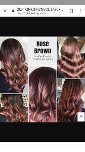 Rise Brown Hair Styles Hot Hair Styles Brown Ombre Hair