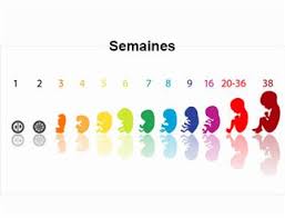 Il existe trois causes possibles de mort in utero. Mort Du Foetus Symptomes Traitement Definition Docteurclic Com
