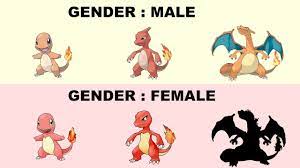 Charizard Evolution Gender Differences Fanart - YouTube