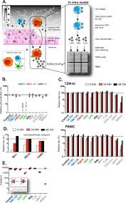 Virus has main objective of modify or delete the data of system. M48u1 Has A Memory Effect On Cell Associated Virus A The Trojan Horse Download Scientific Diagram