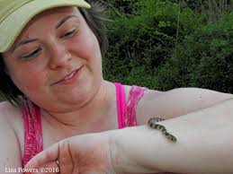 Where do tropes about wild animals come from?