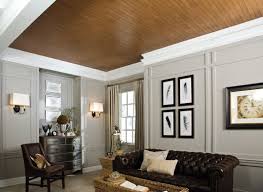 So you should browse for the best ceiling design ideas for. Living Room Ceiling Ideas Ceilings Armstrong Residential
