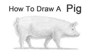 Granted there are some related books on drawing animals but these aren't always enough. How To Draw Animals 50 Free Tutorial Videos To Help You Learn Step By Step
