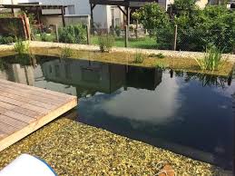 Schwimmteich Perfekt Fur Warme Sommertage Schwimmteich Teich Schwimmen