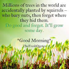 Millions Of Trees In The World Are Planted Good Morning When you share them on facebook, they will be shown correctly. world are planted good morning