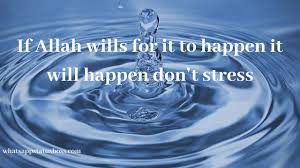 Best 70 Islamic Quotes For Whatsapp Dp In English I believe in allah and peace. best 70 islamic quotes for whatsapp dp