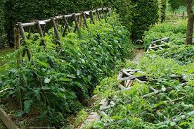 The Garden Of The Priory Orsan Is A Magical Place For Photographers Although Primarily A Productive Vegetable Ga Garden Structures Potager Garden Urban Garden