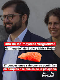 Es una Vergüenza nacional! El gobierno de Gabriel Boric y su ministra Maisa  Rojas, autoproclamados campeones del medioambiente, sostienen 27  concesiones salmoneras en parques nacionales como Laguna San Rafael, Isla  Magdalena y