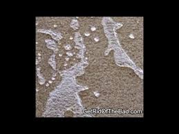 Use baby oil to eliminate gasoline odor. How To Remove Gasoline Smell In Car Naijauto Com