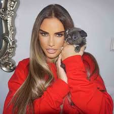 Check spelling or type a new query. Katie Price S Scarred Face Seen Unfiltered For First Time After Fox Eye Facelift Mirror Online