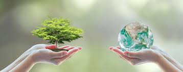 Footprint has a clear vision: The Uae And Its Ecological Footprint Thesustainabilist