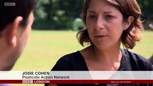 Josie Cohen's Instagram, Twitter & Facebook