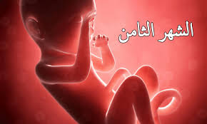 حركة الجنين في الشهر الثامن بالصور وتطور الجنين بالأسابيع إبحث