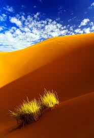 Sahara By Sorin Rechitan 500px Deserts Of The World Hot Desert Beautiful Nature