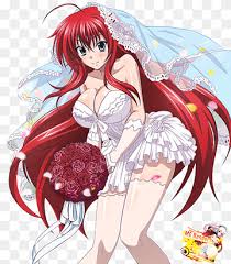 Rias Gremory png images | PNGWing