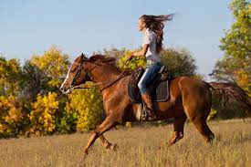 Download Beautiful Girl Riding Horse Countryside Horses Trail Riding Horses Horseback Riding Lessons