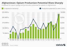 Chart Steep Rise In Poppy Cultivation And Production Of