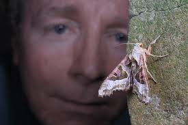 Angel Shade's Instagram, Twitter & Facebook