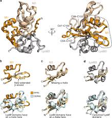But even so, residents like wenjun wang were scared. Structural Signatures In Epr3 Define A Unique Class Of Plant Carbohydrate Receptors Nature Communications