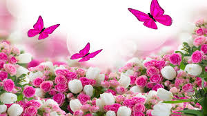Maybe you would like to learn more about one of these? Flower Bouquet White And Pink Roses And Flying Butterflies Hd Wallpaper Download For Mobile And Tablet 3840h2400 Wallpapers13 Com