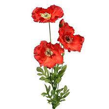 Each day we select seasonal flowers from the markets and deliver them across brisbane. Bunch Of 4 Artificial Silk Red Poppy Stems By Cb Imports Artificial Flowers Amazon Com Au