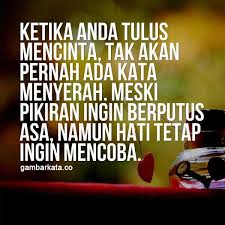 Cinta tidak pernah menyakiti siapapun, cinta akan selalu memberikan nikmat, perlindungan, kebahagiaan, ketulusan, bahkan cinta tidak pernah meminta untuk pamrih. Gambar Kata Harapan Cinta Cikimm Com