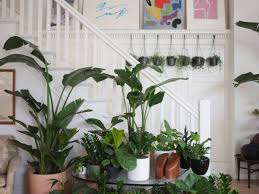 We share common interests and resources, host regular events, activities and classes, usually at 21 acres in woodinville, and operate as a 501(c)7. Our Top Picks For Plant Shops Nurseries Gardening Tips S E A T T L E I T E