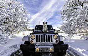 2013 jeep wrangler rubicon 10th anniversary edition. Wallpaper Winter Machine Snow Dog Jeep Jeep Wrangler Images For Desktop Section Sobaki Download