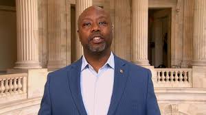 Senate in 2013 and won a special election the following year. On The View Sen Tim Scott Touts Efforts To Combat Covid 19 In Black Communities Abc News