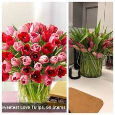 Yelp.com reviews first appeared on complaints board on jan 27, 2009. 1800flowers Boston 16 Photos 50 Reviews Florists 100 City Hall Plz Boston Ma Phone Number Products Yelp